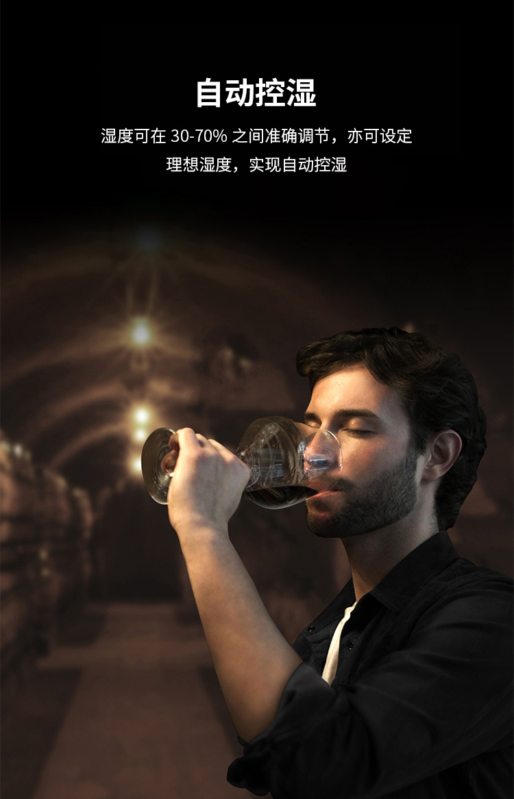 立櫃恒濕機詳情頁_05.jpg