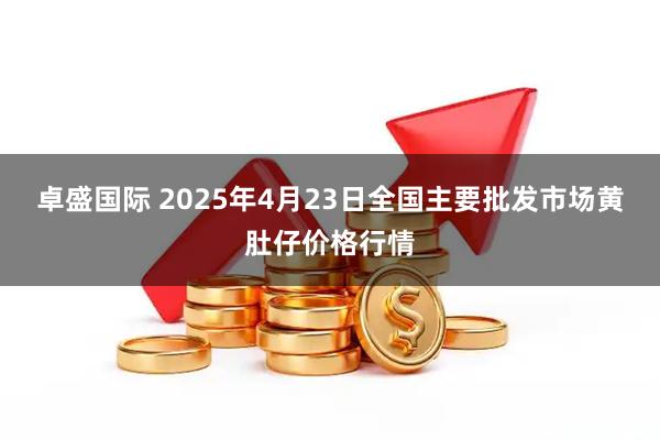 卓盛国际 2025年4月23日全国主要批发市场黄肚仔价格行情